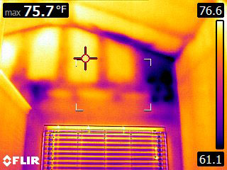 Flir Thermal Imaging Camera