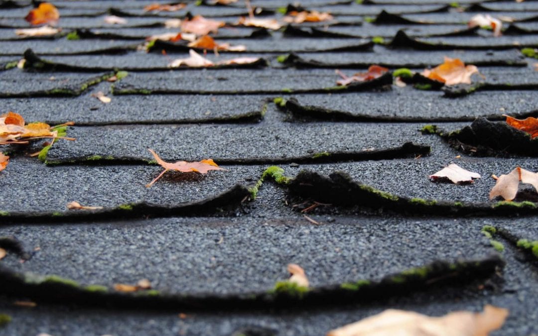 3 Signs That You Need A New Roof