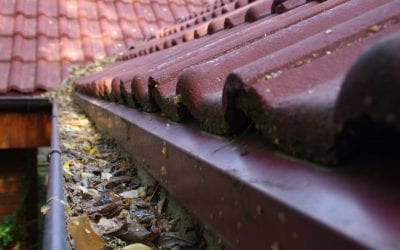 Clean the Gutters to Protect Your Home