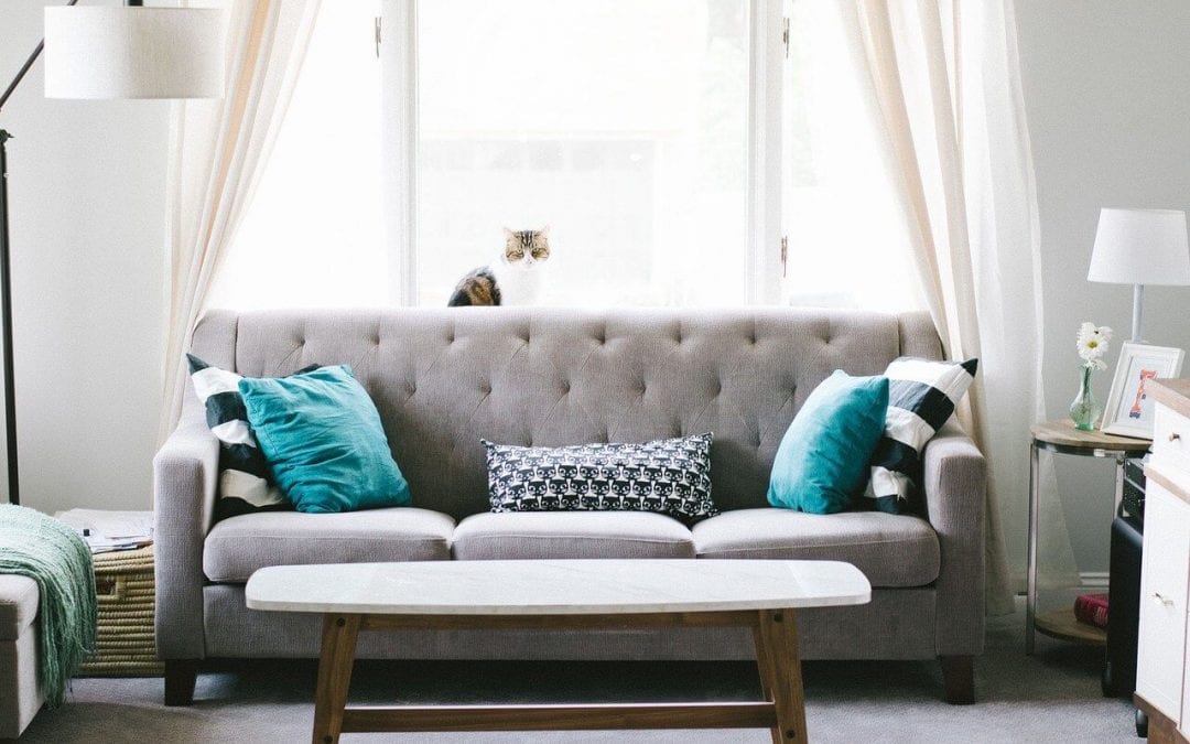 update your home with new throw pillows